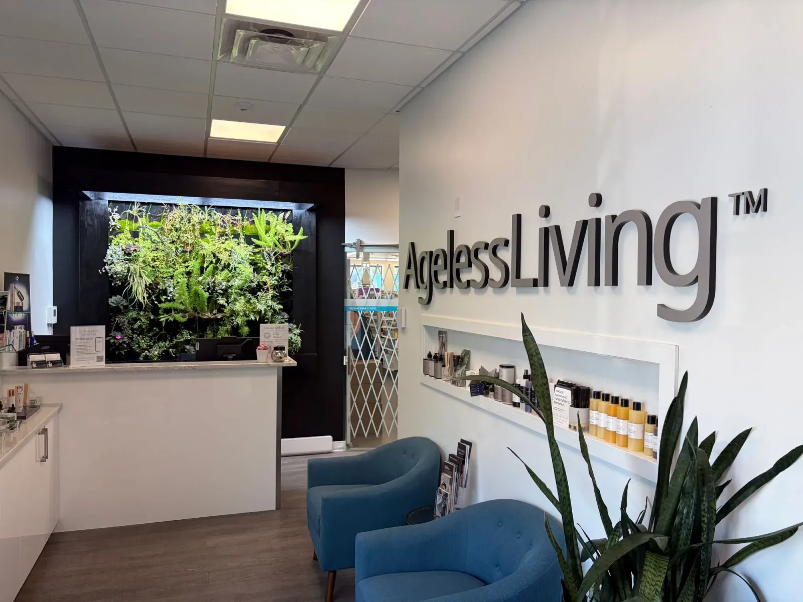 The clinic reception with its living plant wall